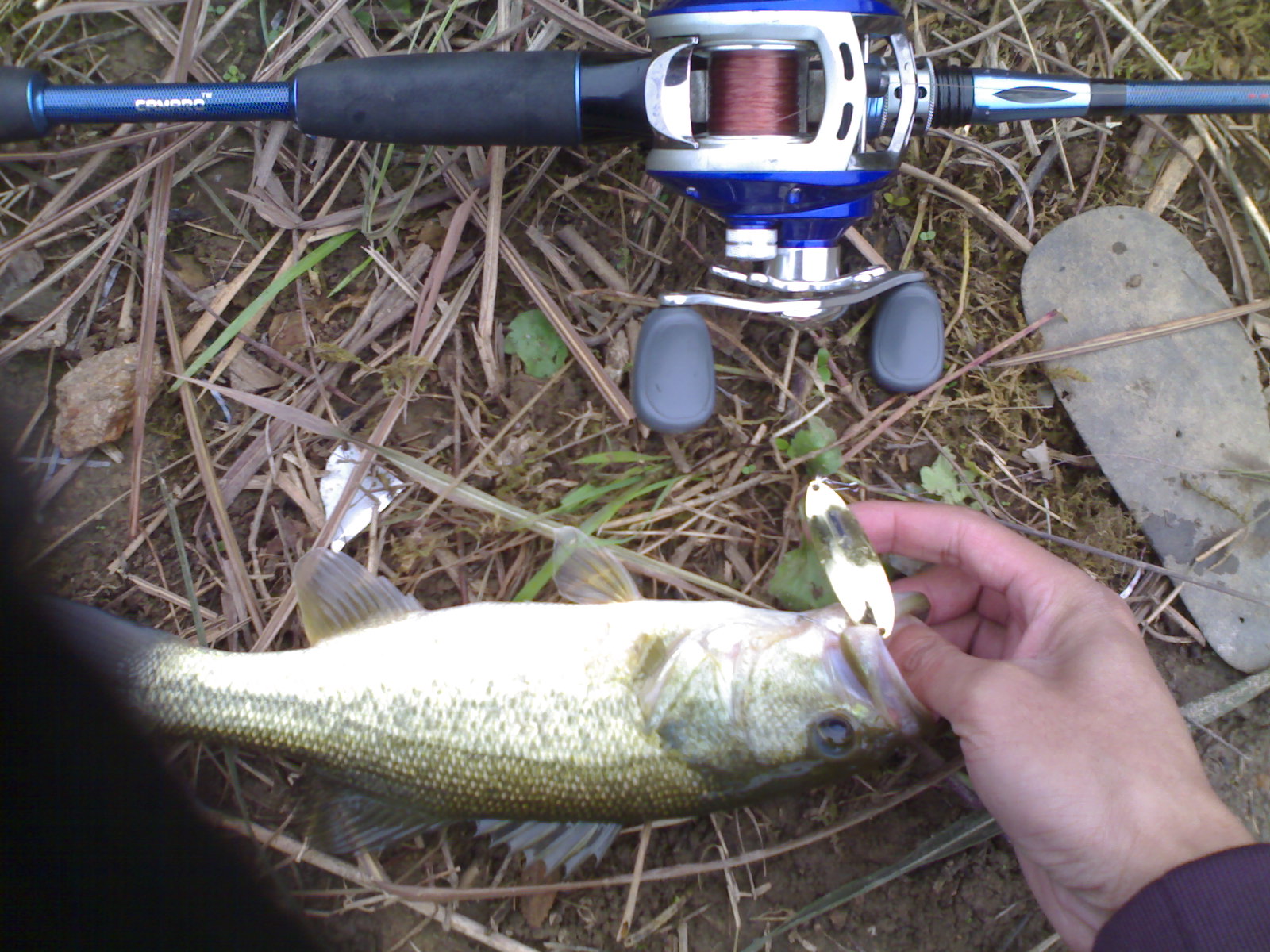 27102012539.jpg