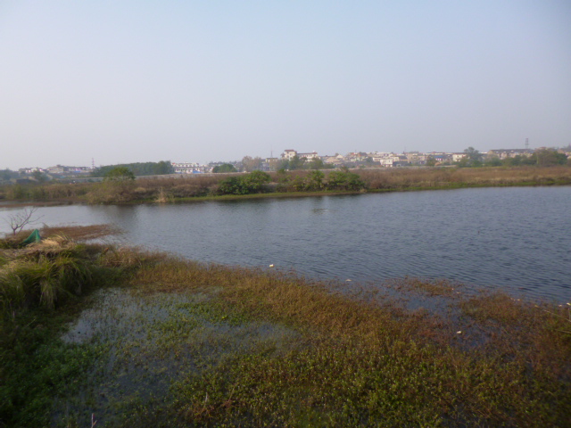 P1000757.JPG