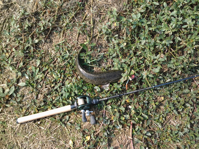 2012-11-02 13.45.54.jpg