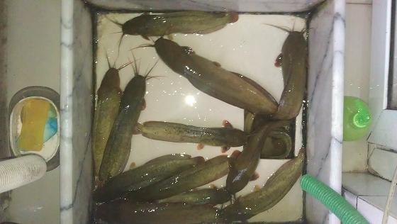 IMAG0336.jpg