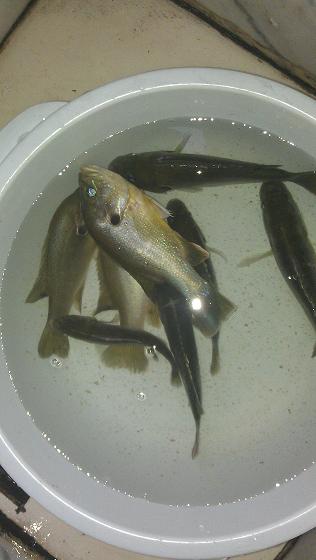 IMAG0338.jpg