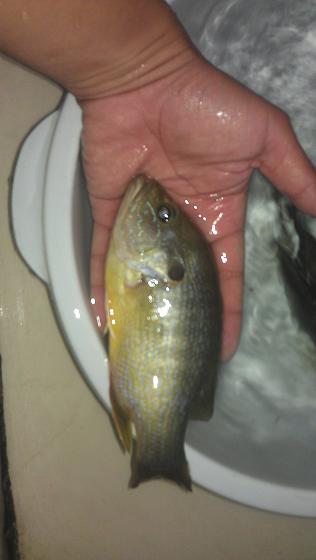 IMAG0345.jpg