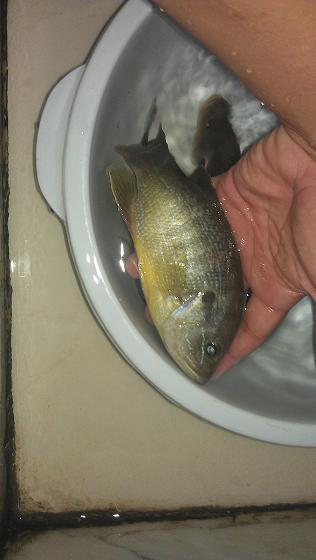 IMAG0343.jpg