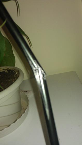 IMAG0355.jpg