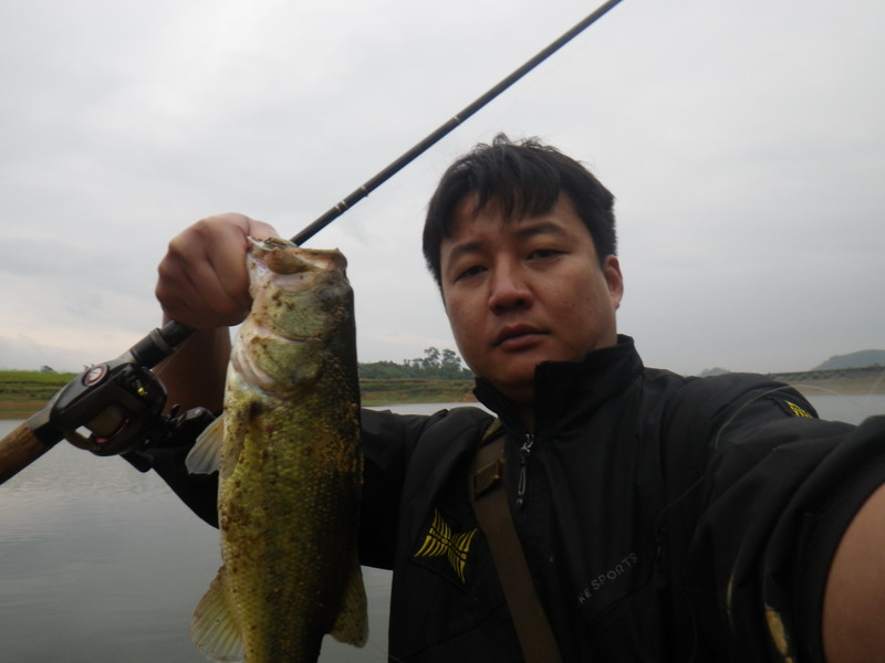 IMGP0113.JPG