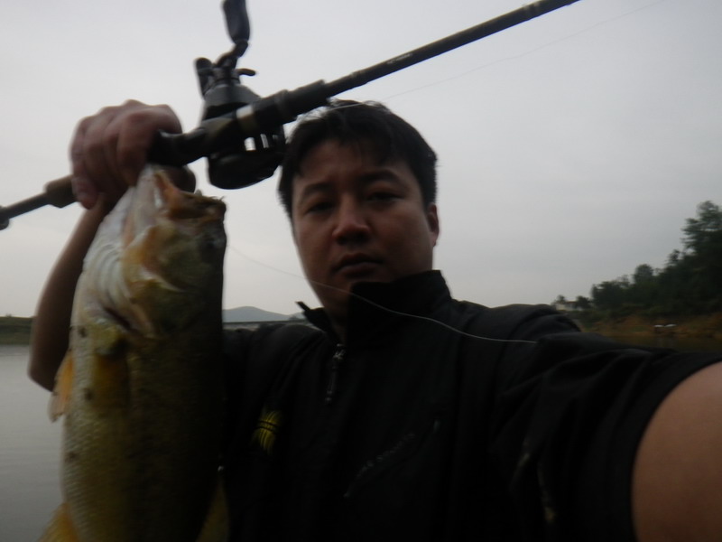 IMGP0161.JPG
