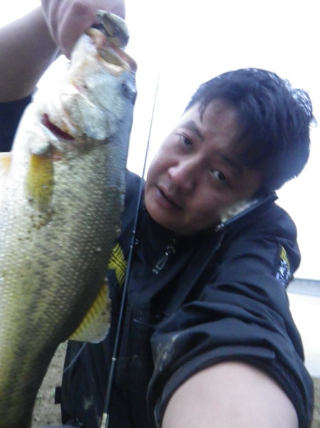IMGP0175.JPG
