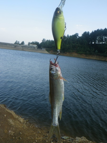 IMGP0179.jpg