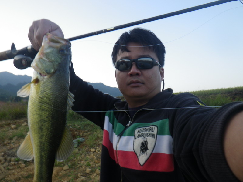 IMGP0190.JPG