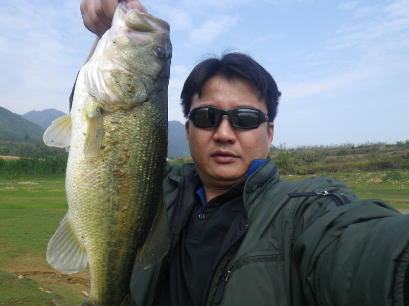 IMGP0201.JPG
