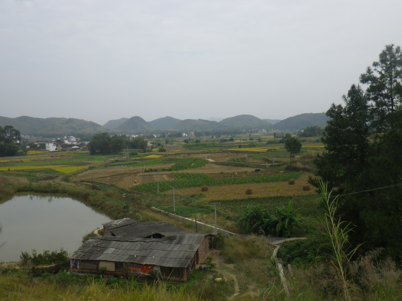 IMGP0221.JPG