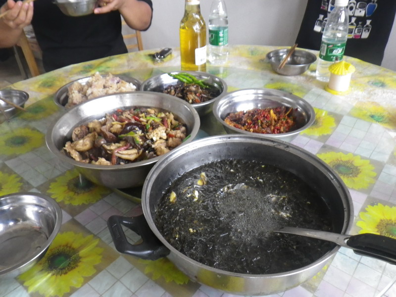 IMGP0225.JPG