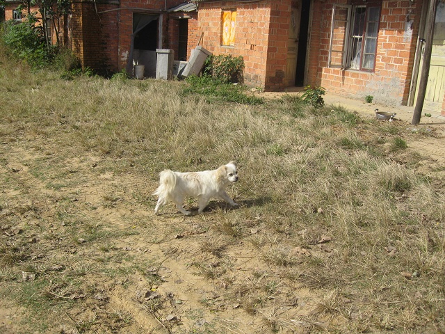 Ƭ 073.jpg