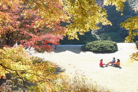 DSC_6995.jpg