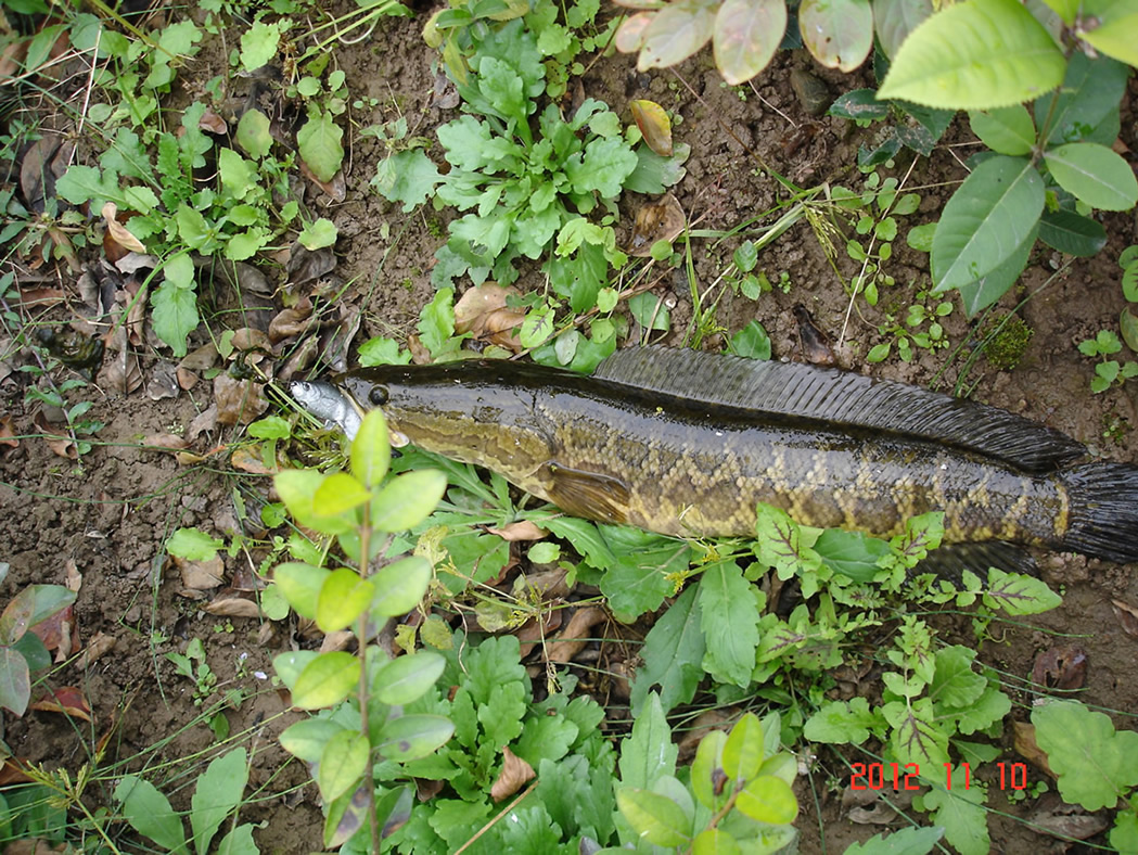 DSC04605.jpg