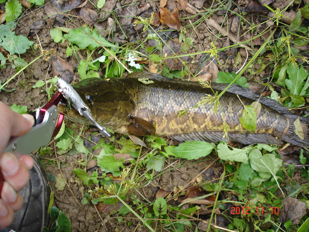 DSC04608.jpg