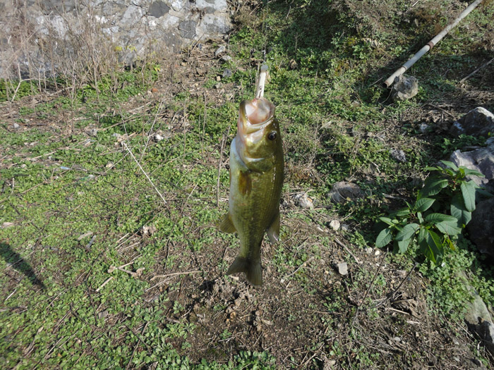 DSC05989.jpg