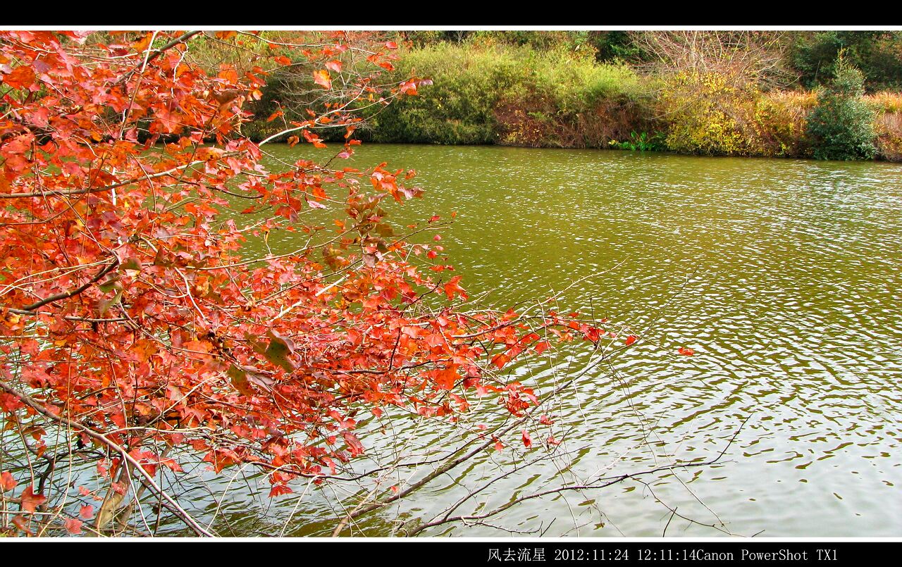 2012112404.jpg