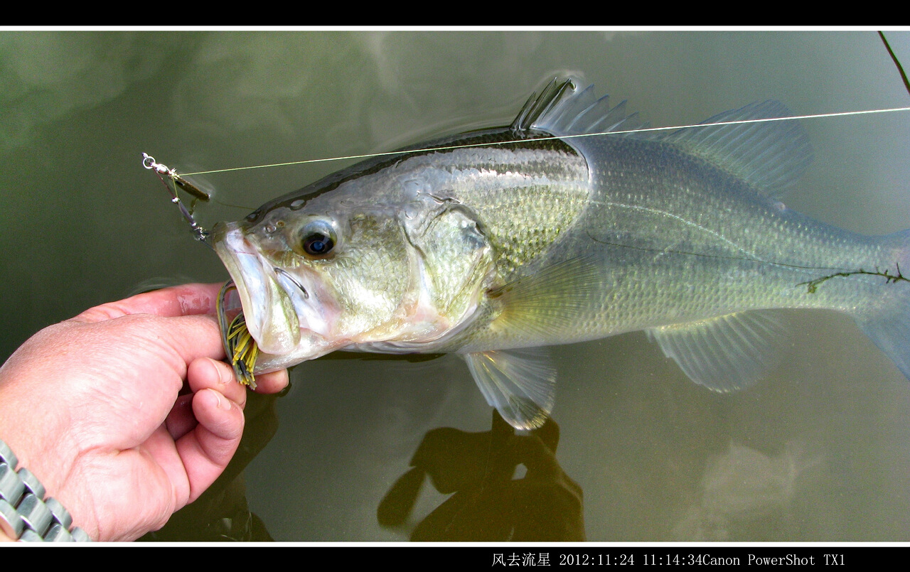 2012112410.jpg