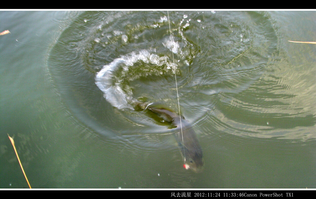 2012112411.jpg