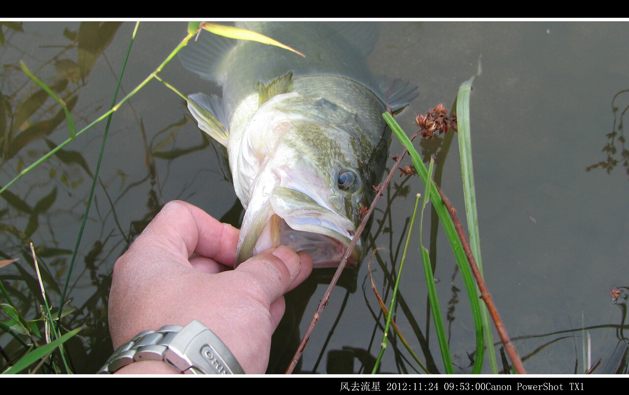 2012112413.jpg