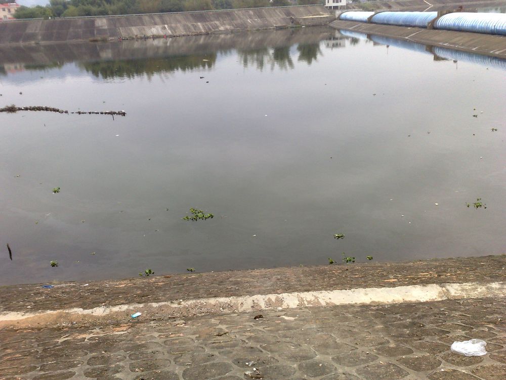 201211251368.jpg