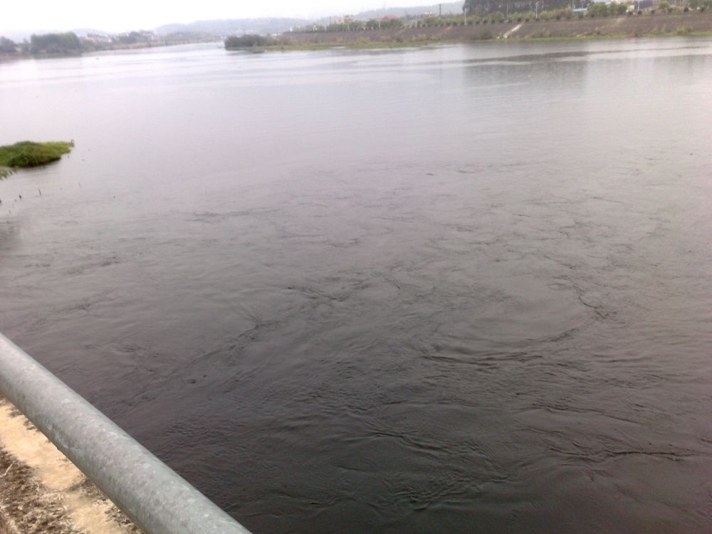 201211251372.jpg