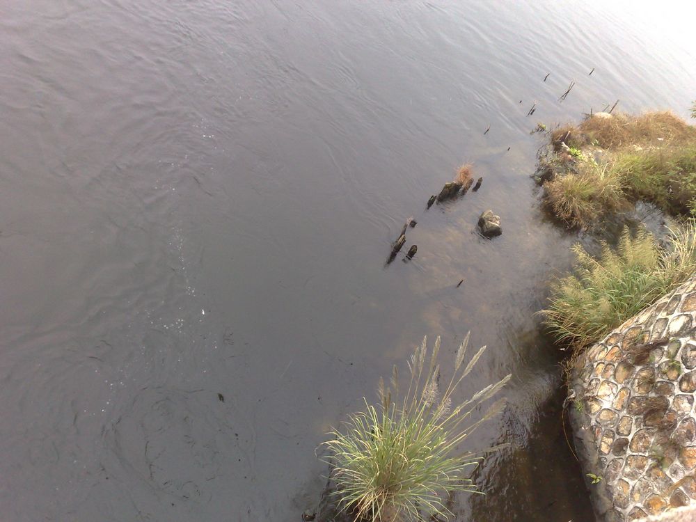 201211251373.jpg
