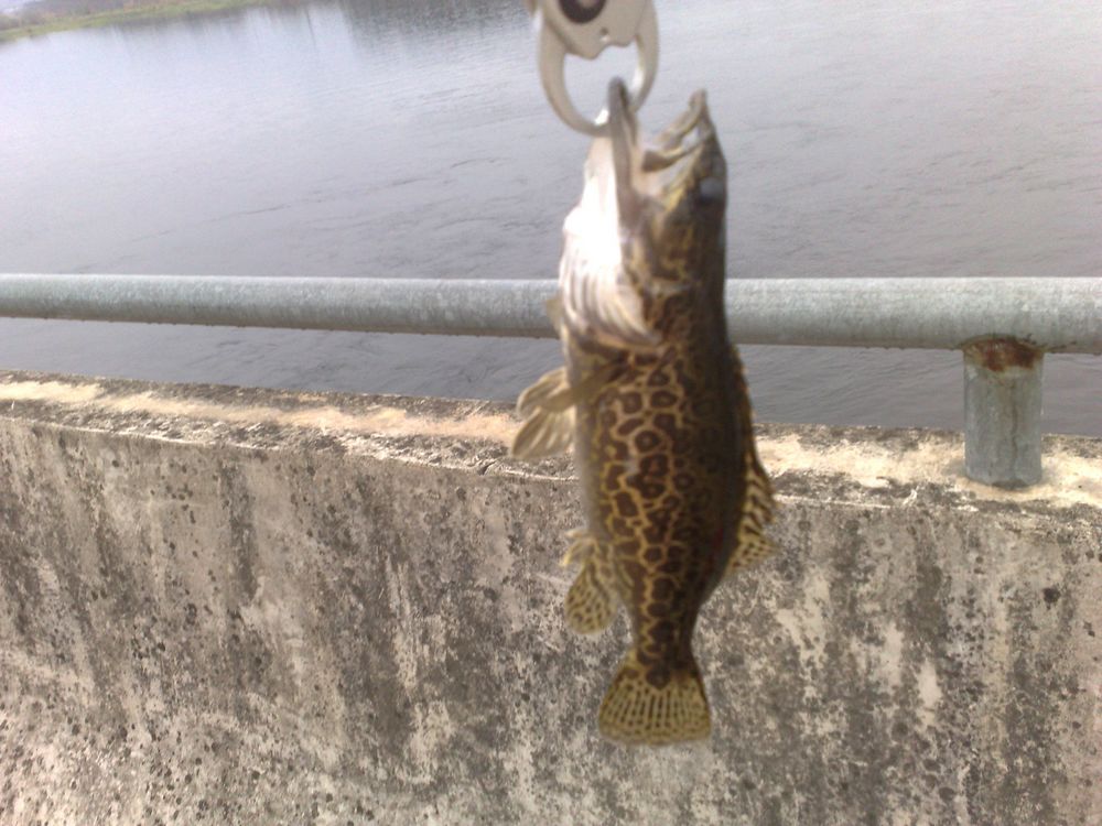 201211251374.jpg
