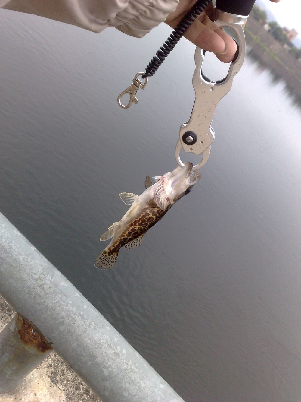 201211251375.jpg