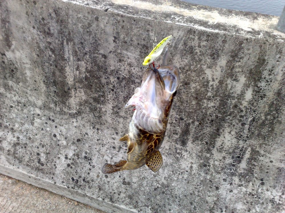 201211251376.jpg