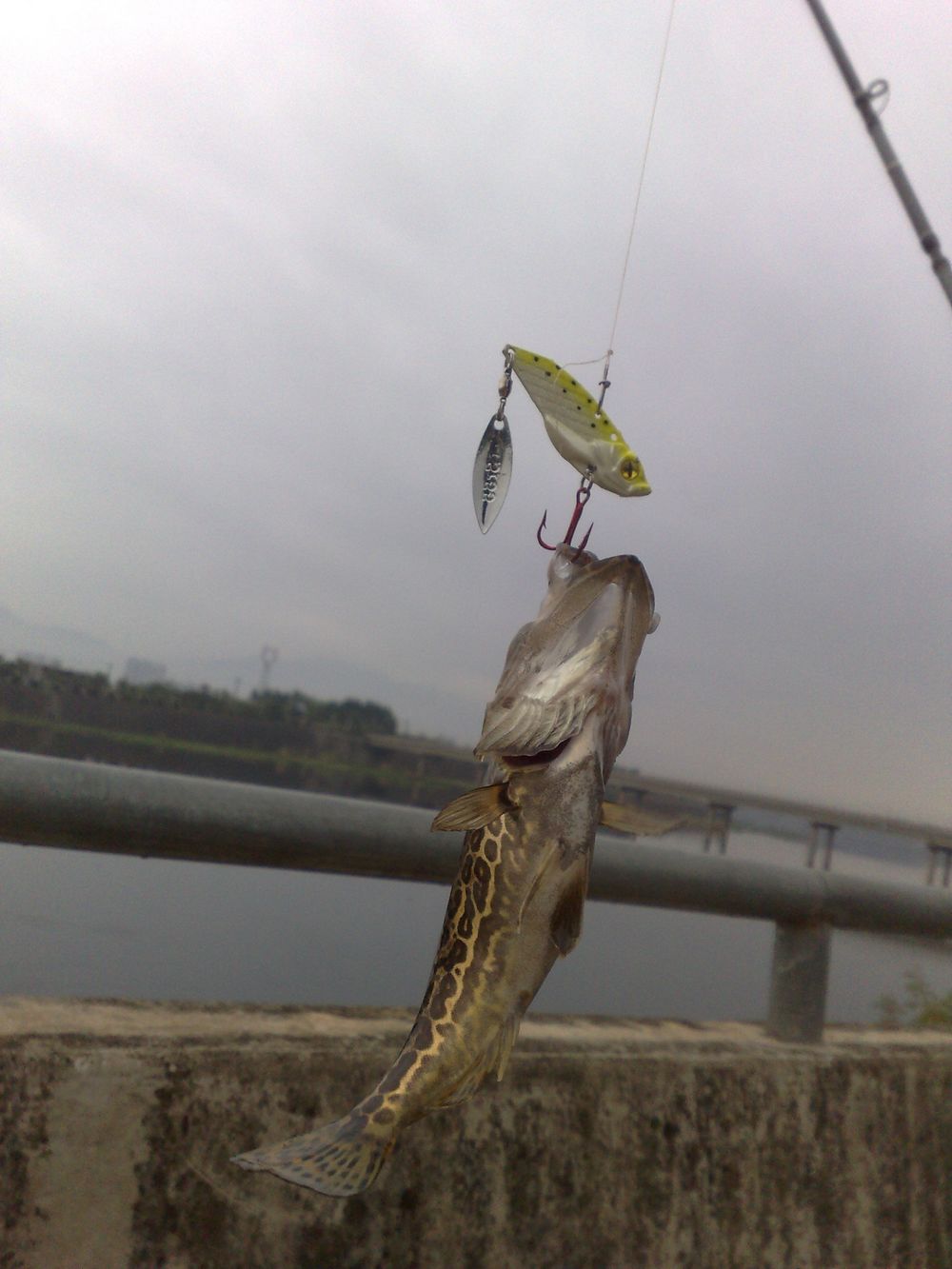 201211251377.jpg