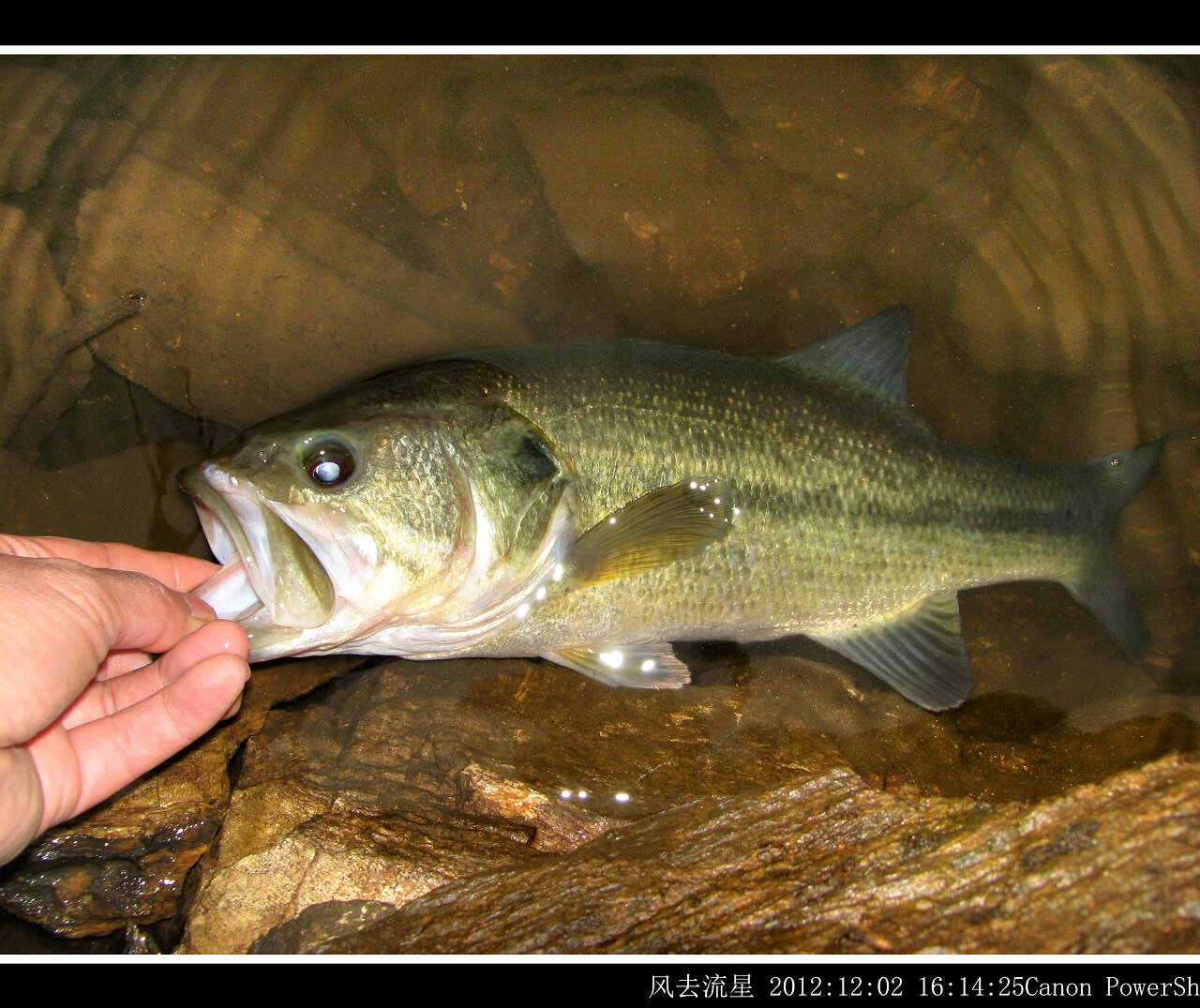 2012120201.jpg