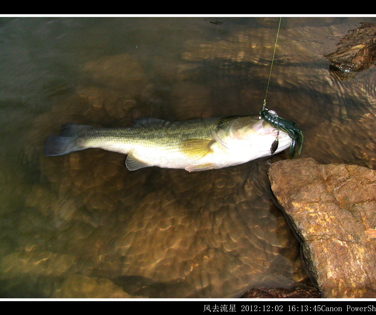2012120204.jpg