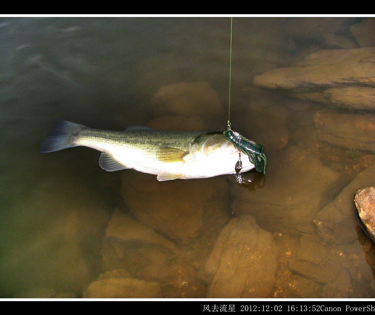 2012120203.jpg