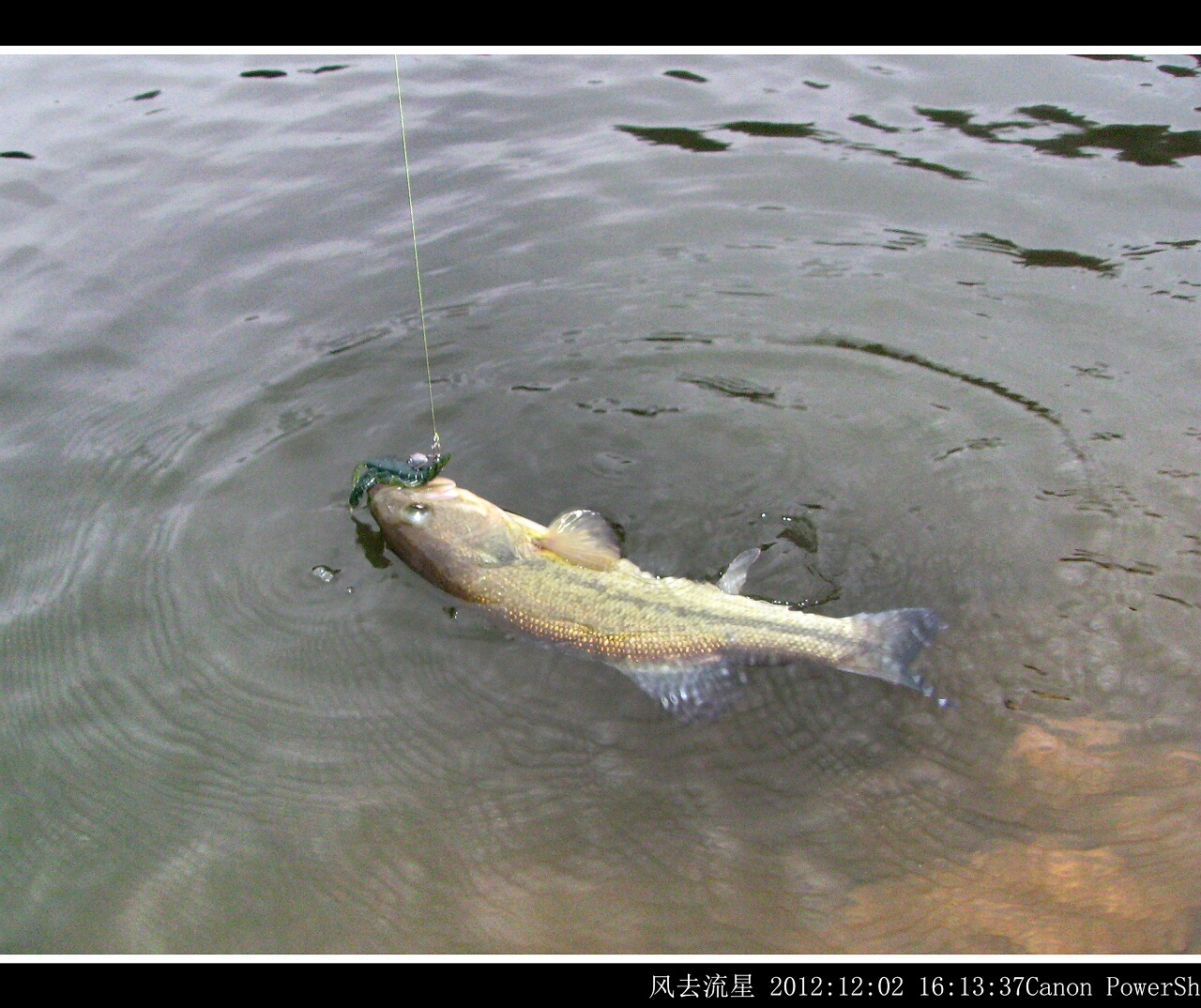 2012120205.jpg