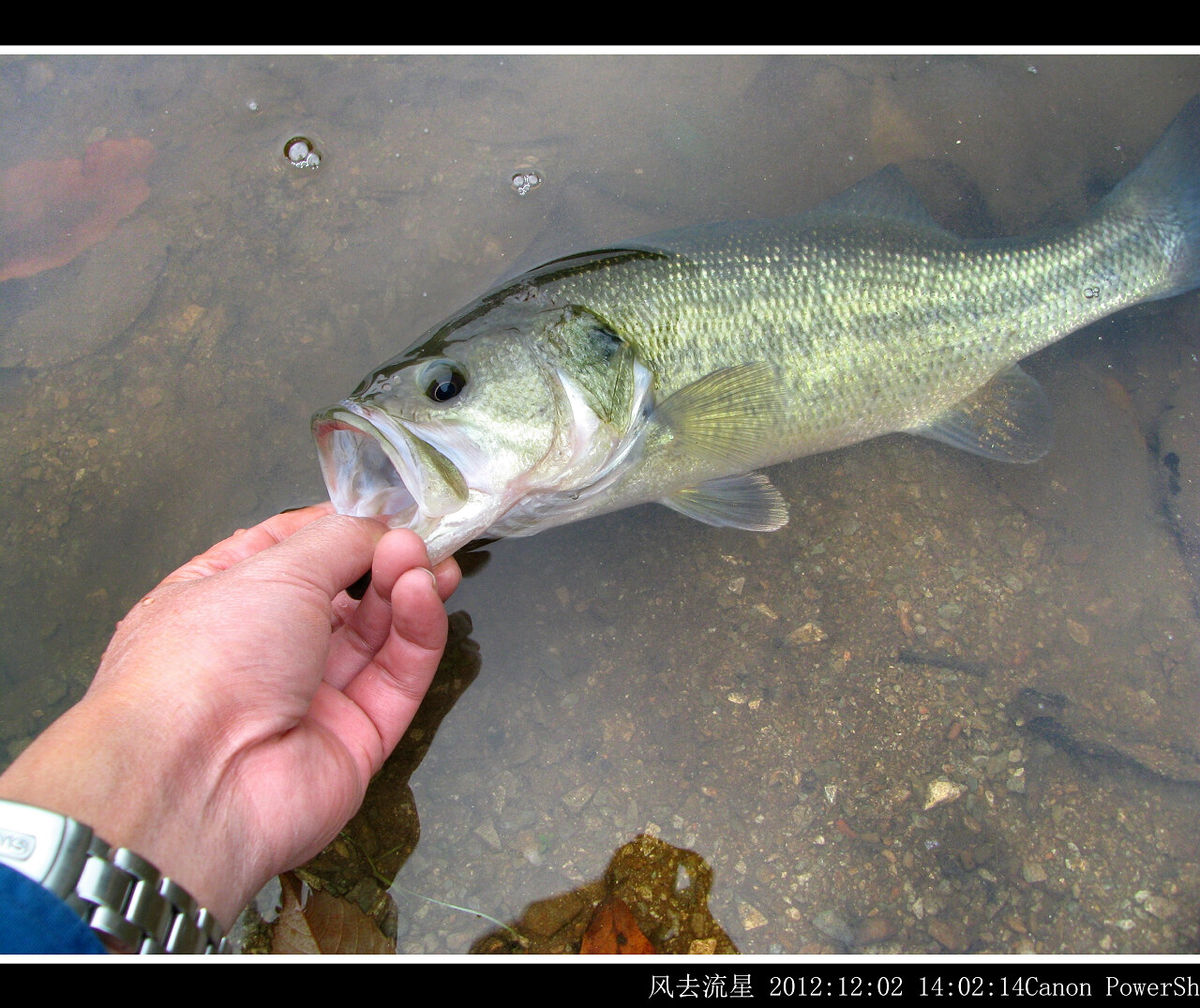 2012120207.jpg