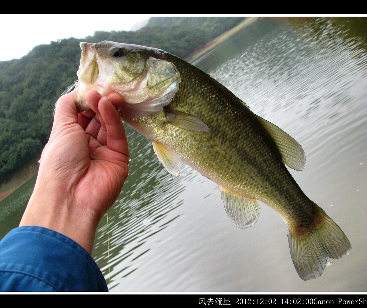 2012120208.jpg