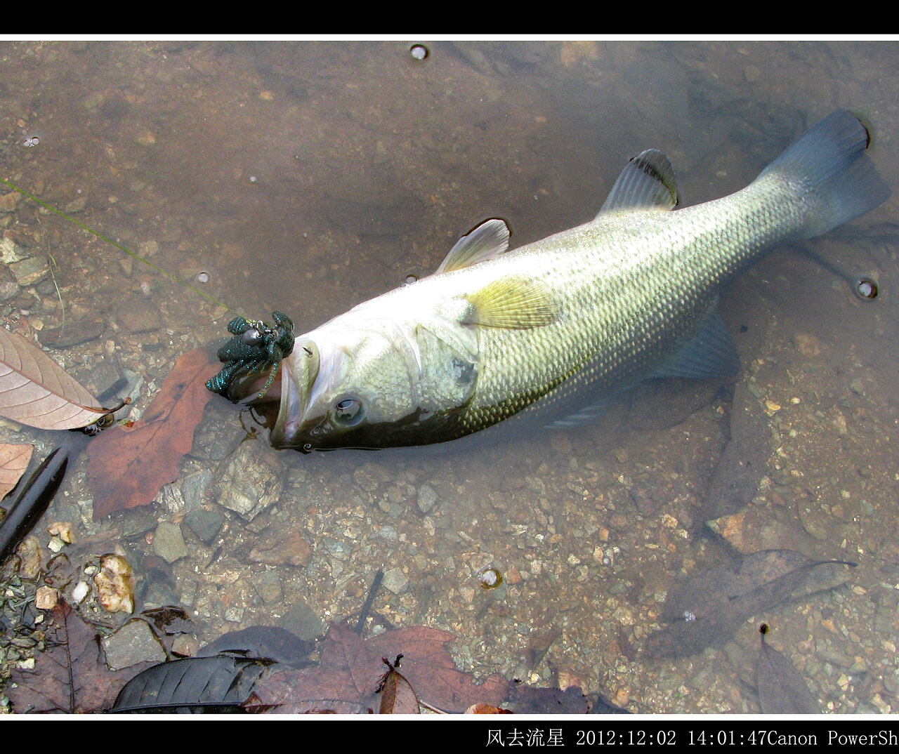 2012120209.jpg