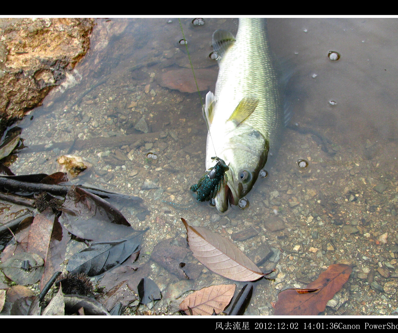 2012120210.jpg