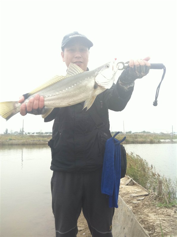 psbCA1331I5.jpg