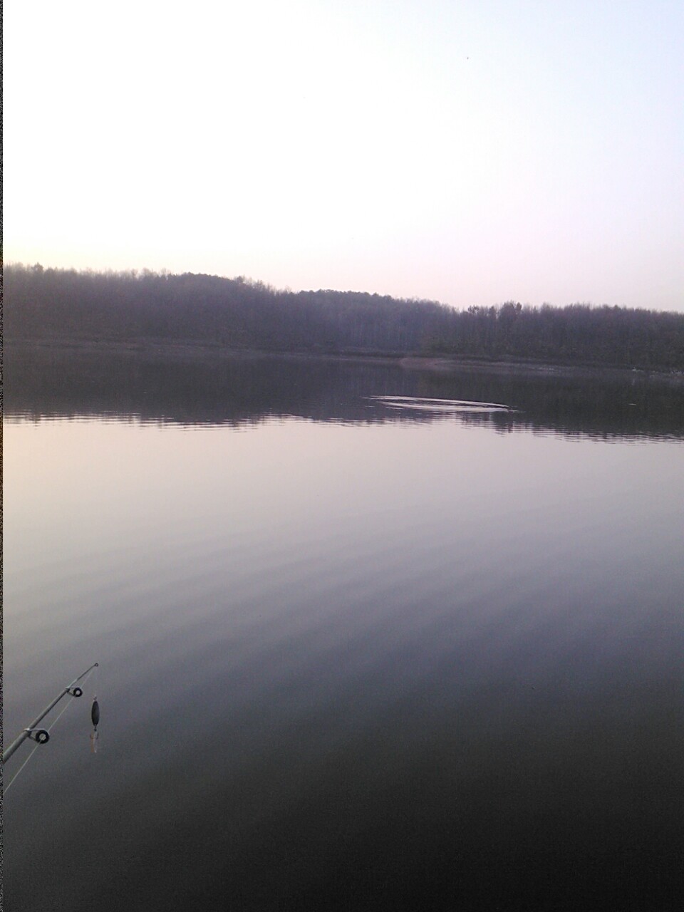IMG_20121206_205806.jpg