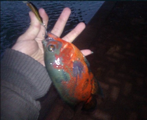 LQ]S6}HWNB%S)BLA%@TVZ6F.jpg