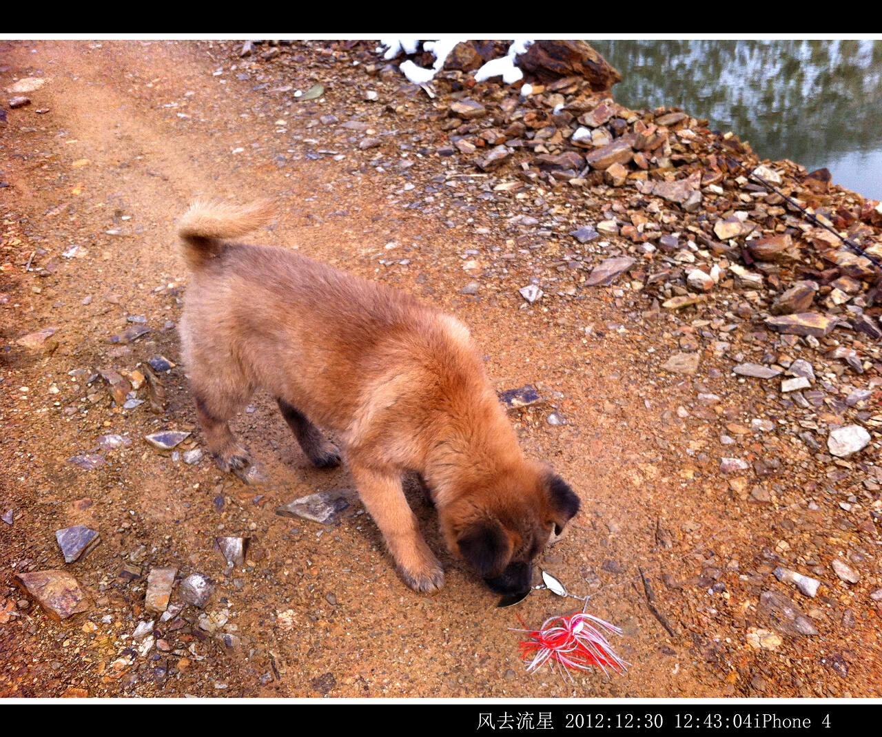 2012123000.jpg