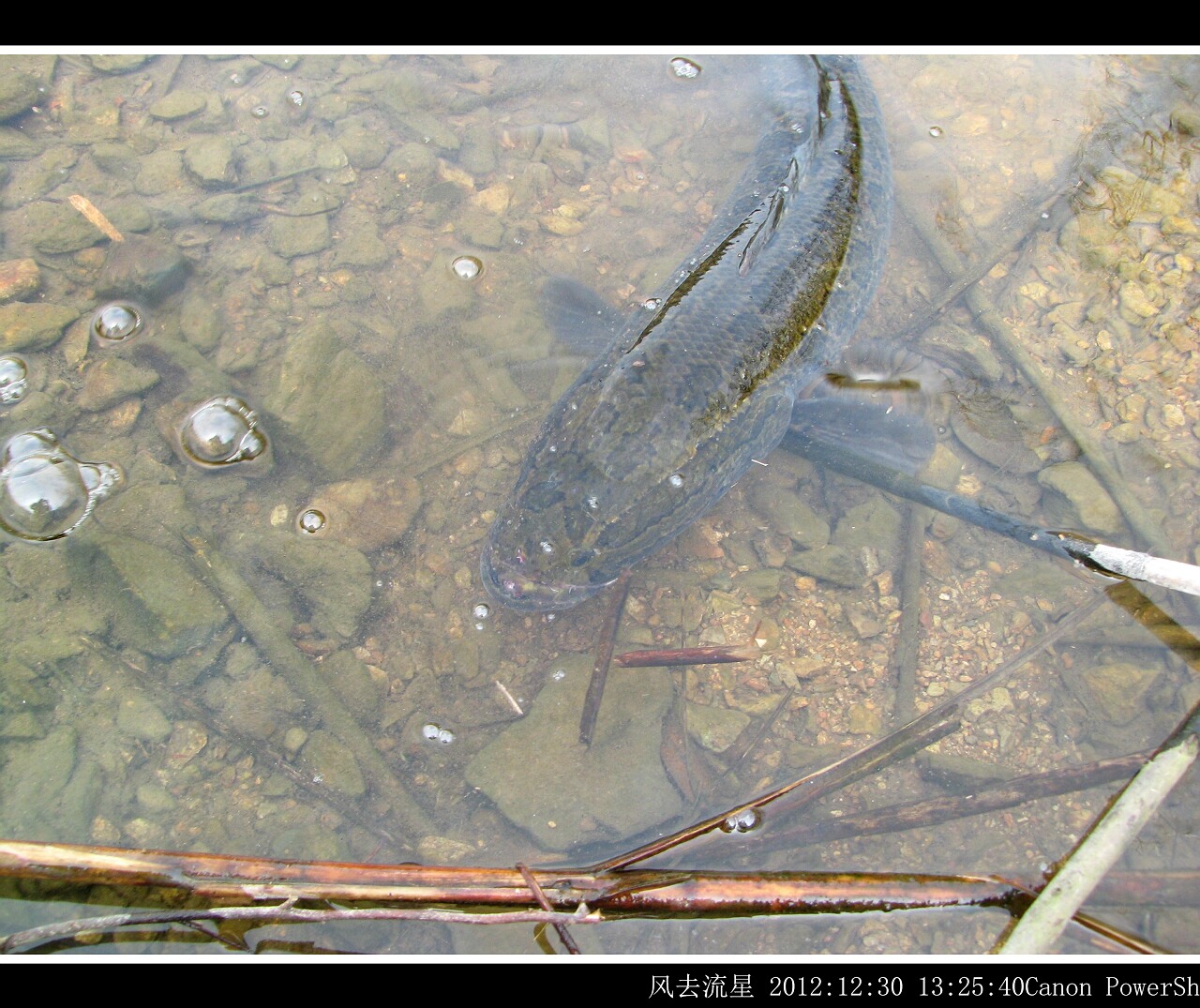 2012123005.jpg
