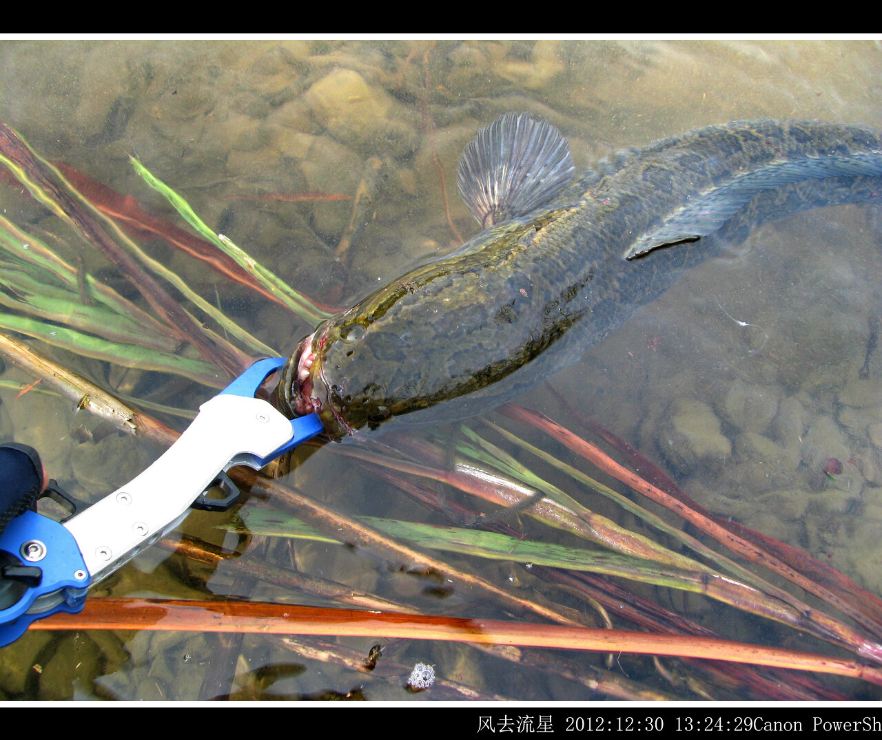 2012123007.jpg