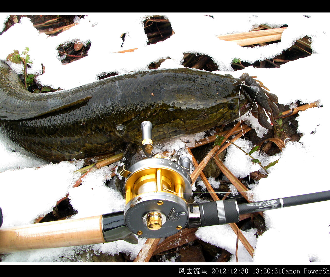2012123010.jpg