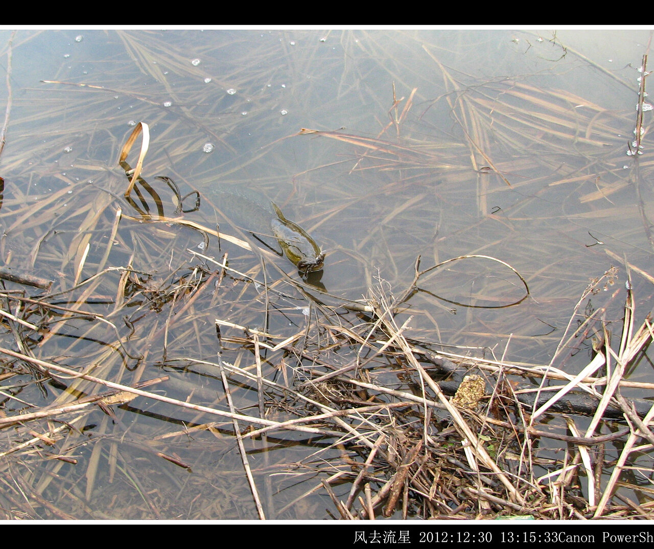 2012123012.jpg