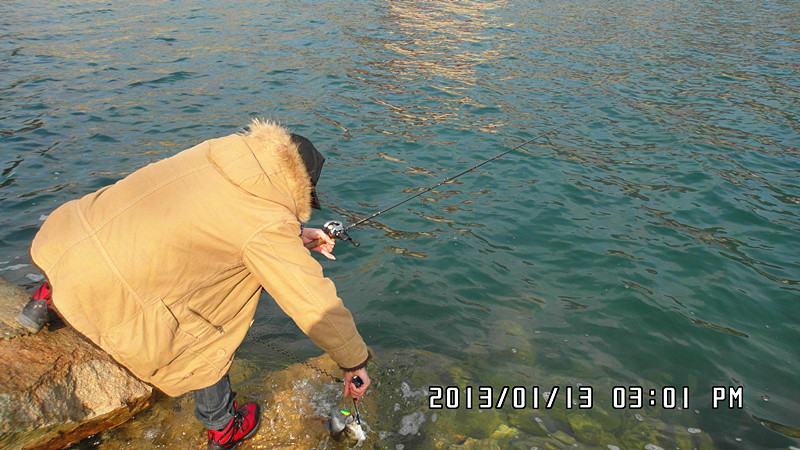 SAM_1443_.jpg