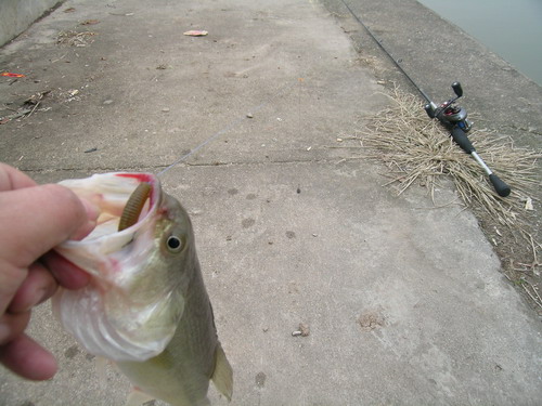 DSCN3649.jpg